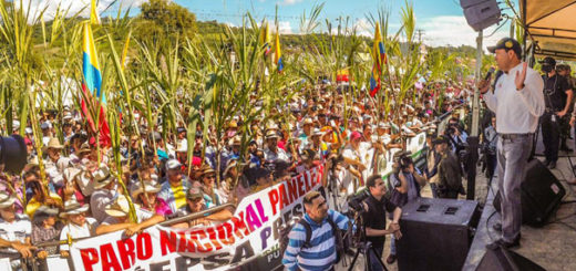El Paro Nacional Panelero y la Crisis de la Agricultura en Colombia 2