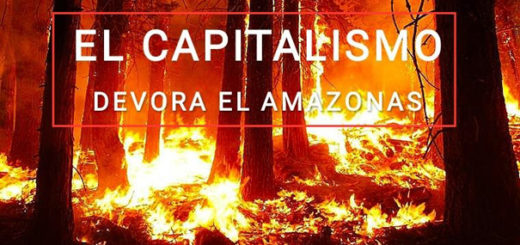 El Amazonas arde, el capitalismo debe perecer 1