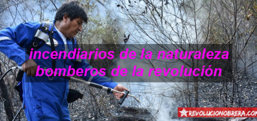 Incendiarios de la Naturaleza – Bomberos de la Revolución 4