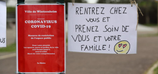 Francia – Sobre el coronavirus: análisis de la crisis 3