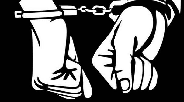 India – El brote de Covid-19 justifica proporcionar fianza o libertad condicional a todos los presos políticos 1