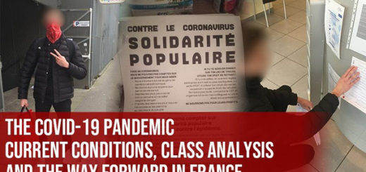 La pandemia de COVID-19: condiciones actuales, análisis de clase y el camino a seguir en Francia 1