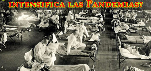 ¿Cómo el Sistema Capitalista intensifica las Pandemias? 2