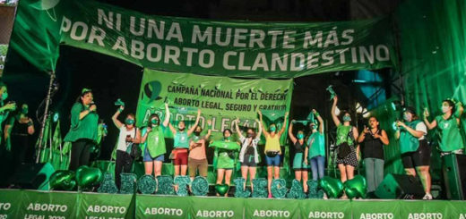 Aborto Legal En Argentina, y La Lucha Continúa 2