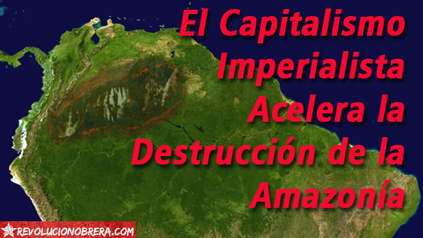 El Capitalismo Imperialista Acelera la Destrucción de la Amazonía 2