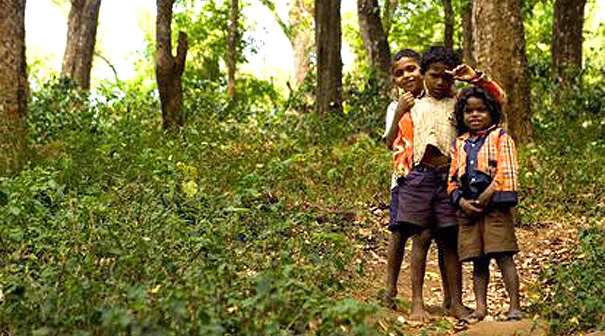 India: Luchar contra las nuevas Reglas de Conservación Forestal 1