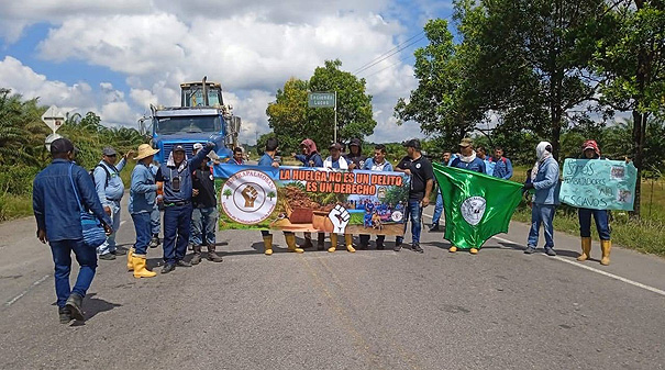 Los trabajadores de Palmosan continúan en huelga 1