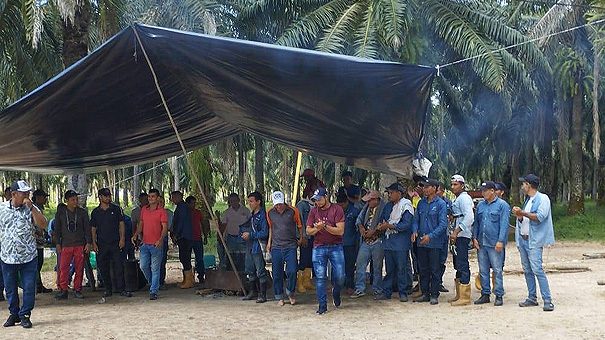 Los trabajadores de Palmosan continúan en huelga 3