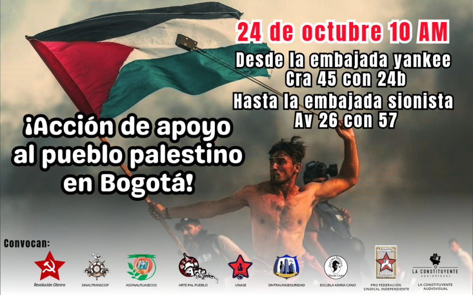 Reporte de una nueva manifestación en Bogotá en apoyo al pueblo palestino 3